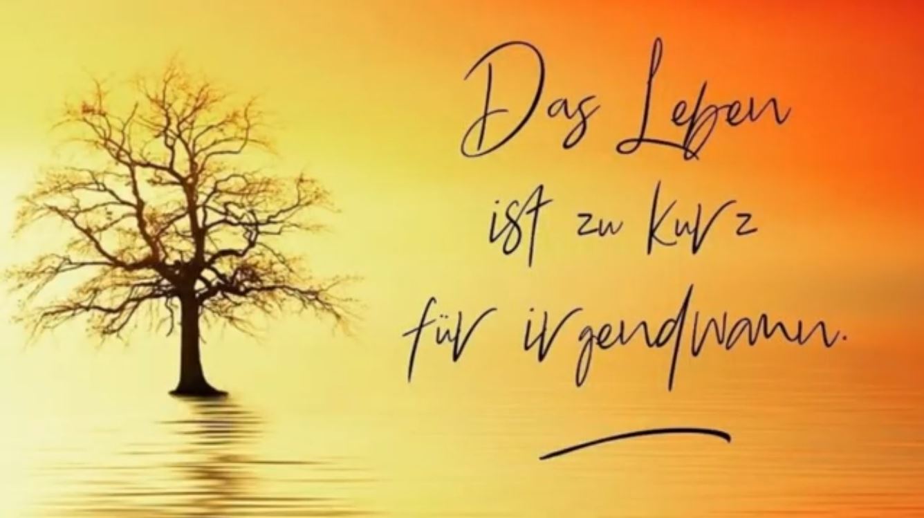 Video Titel Jahresrückblick 2025