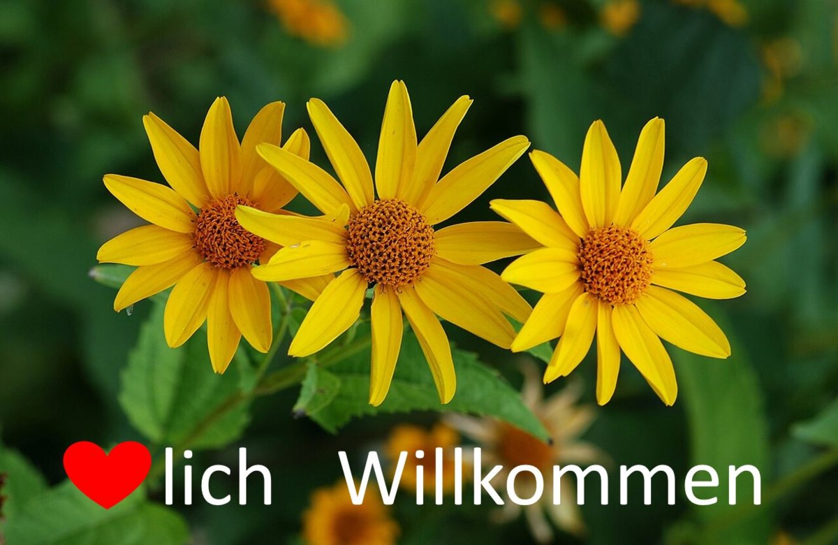 Herzlich Willkommen !