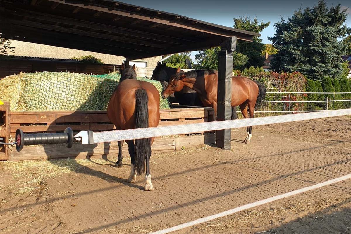 Frühlingsfest der Reitschule Meister Moritzhof